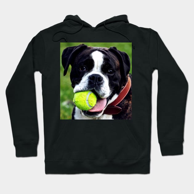 Dog Fetch Ball Hoodie by BraaiNinja